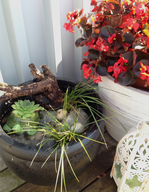 DIY: Make your own patio pond in a pot / The Sweet Escape