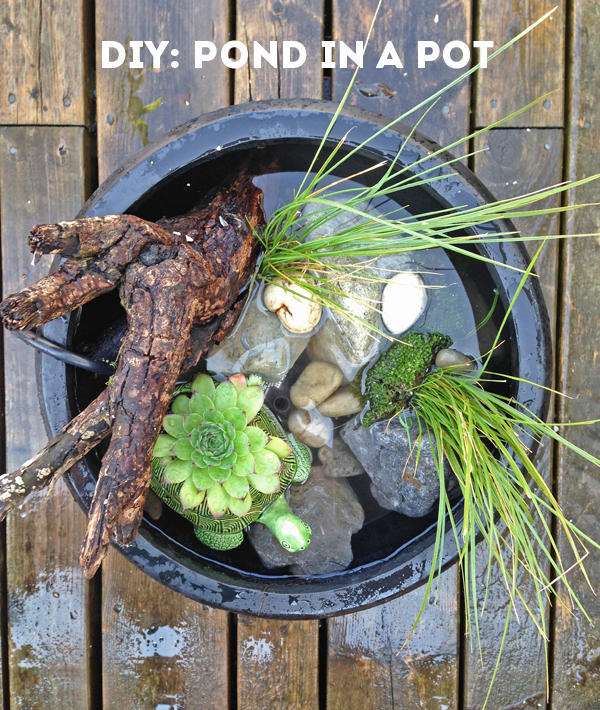 DIY: Make your own patio pond in a pot / The Sweet Escape