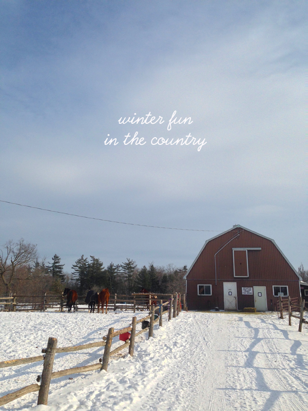 winter-day-in-country