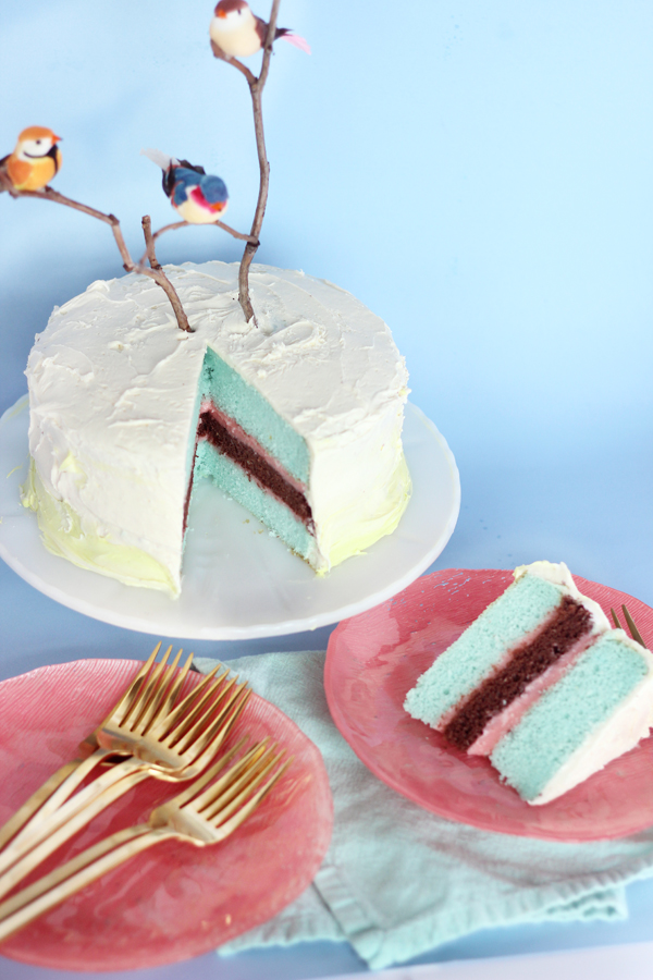 Spring Colorful Bird & Branch DIY Cake  by The Sweet Escape