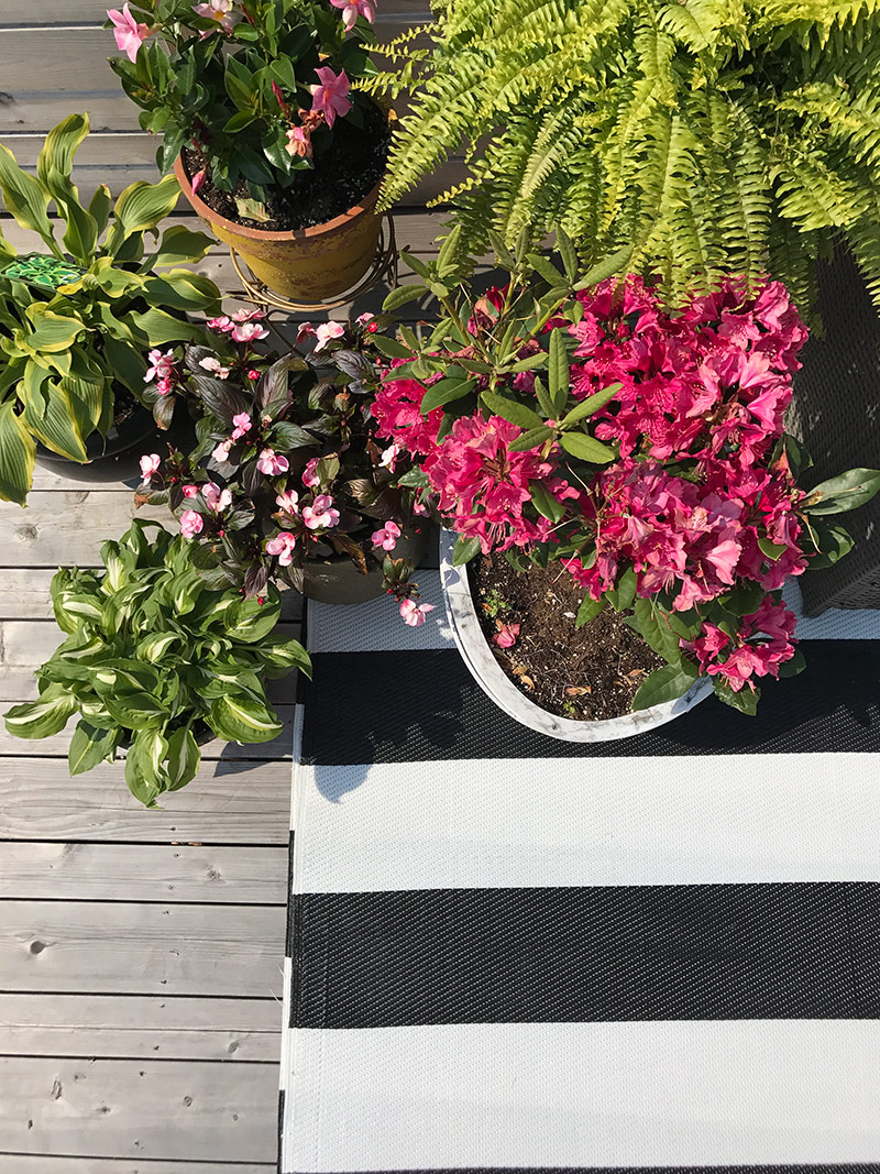 Patio Makeover by The Sweet Escape