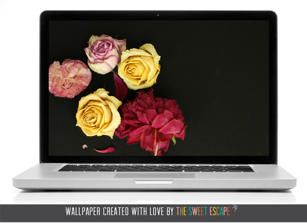 sweet-escape-floral-desktop