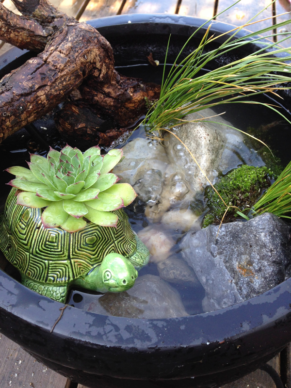 Diy Make Your Own Pond In A Pot The Sweet Escape Creative Studio - How To Make A Patio Pond