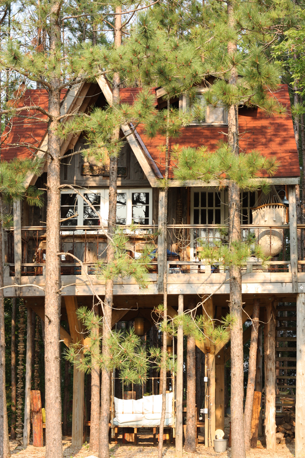 treehouse 21