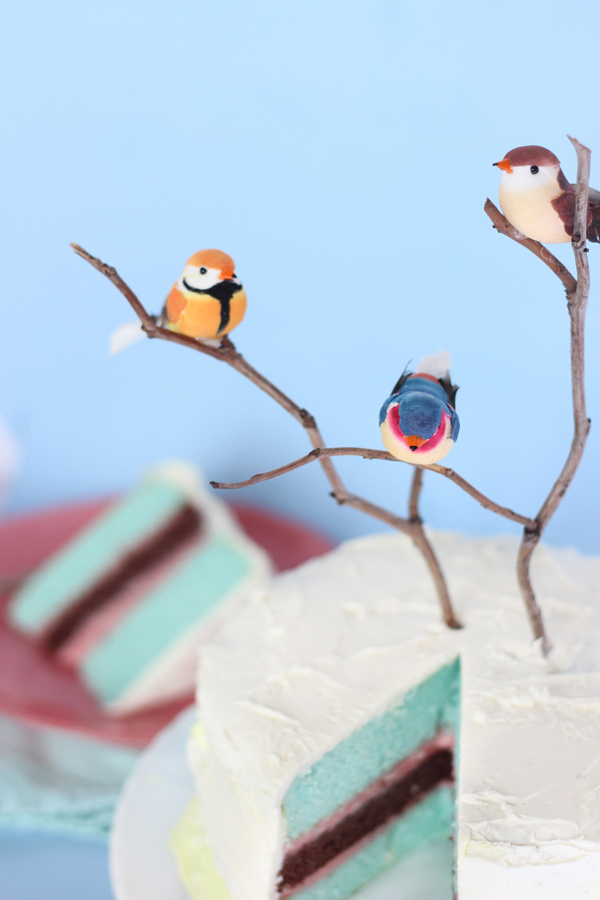 BIRTHDAY WEEK: DIY twig & tweet layered color cake