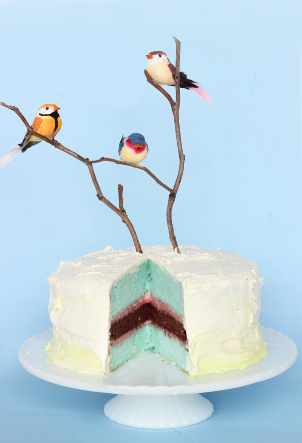 Spring Colorful Bird & Branch DIY Cake  by The Sweet Escape