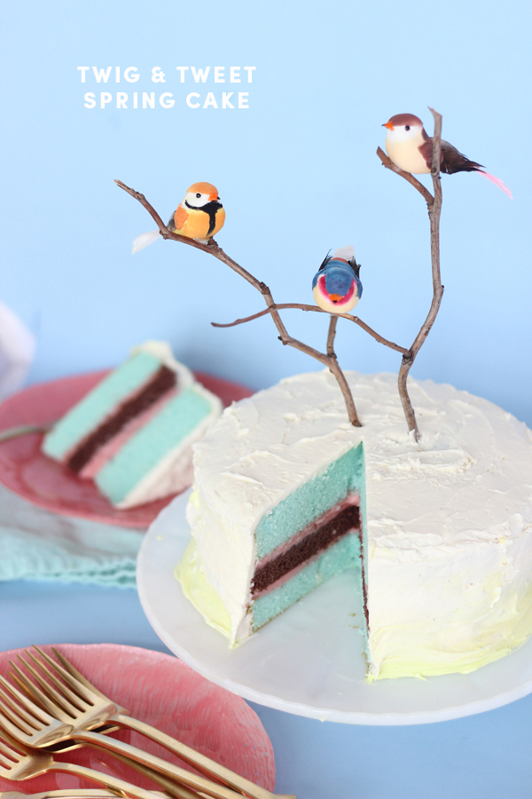 Spring Blue and pink layered cake byThe Sweet Escape