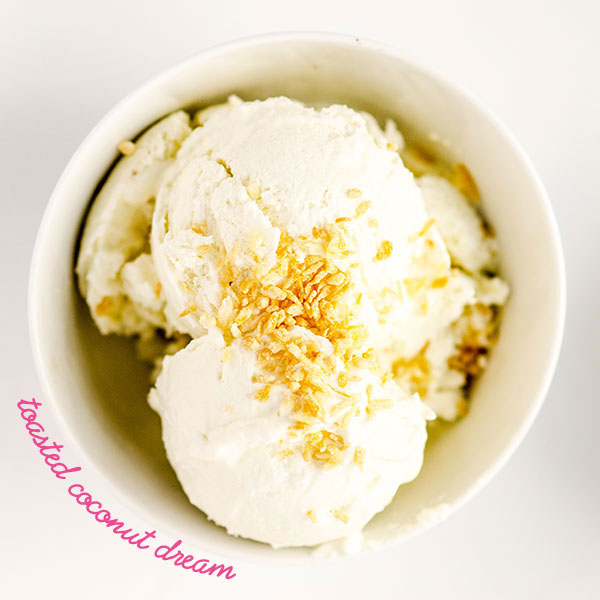 No Churn coconut homemade ice cream - Merry Mag Summer