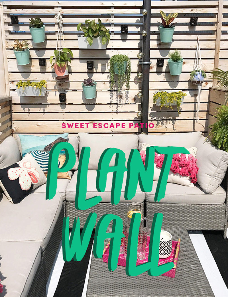 DIY Patio Plant Wall by The Sweet Escape