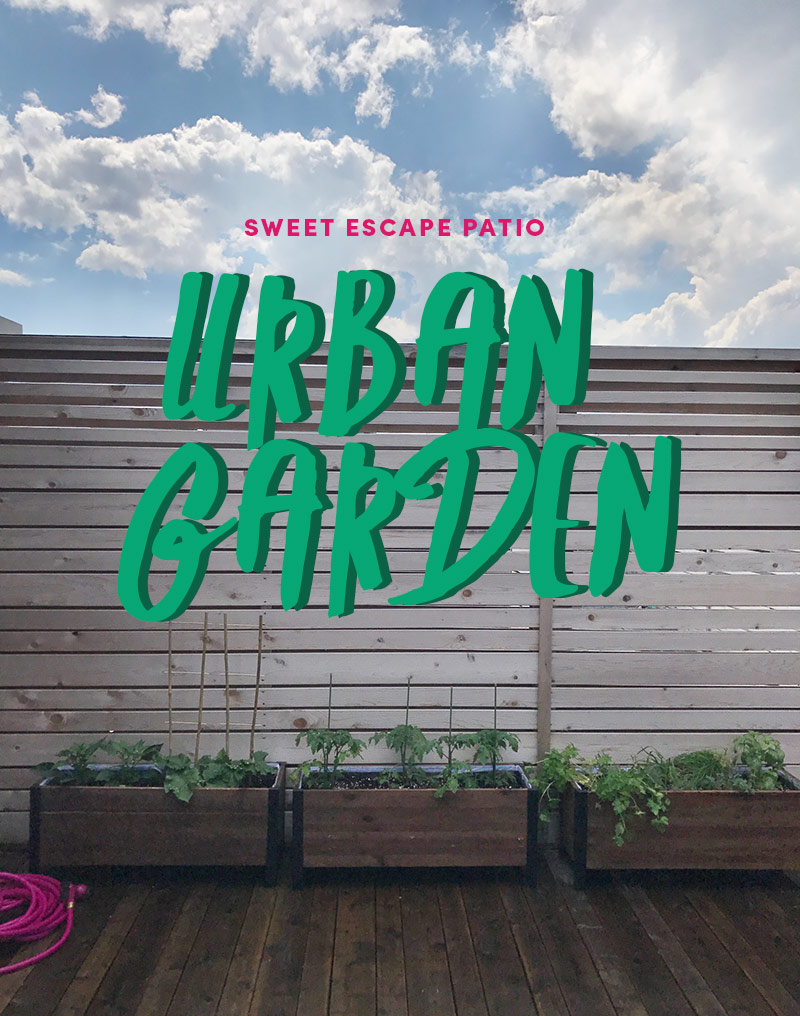 Project Sweet Escape Patio: The Urban Garden