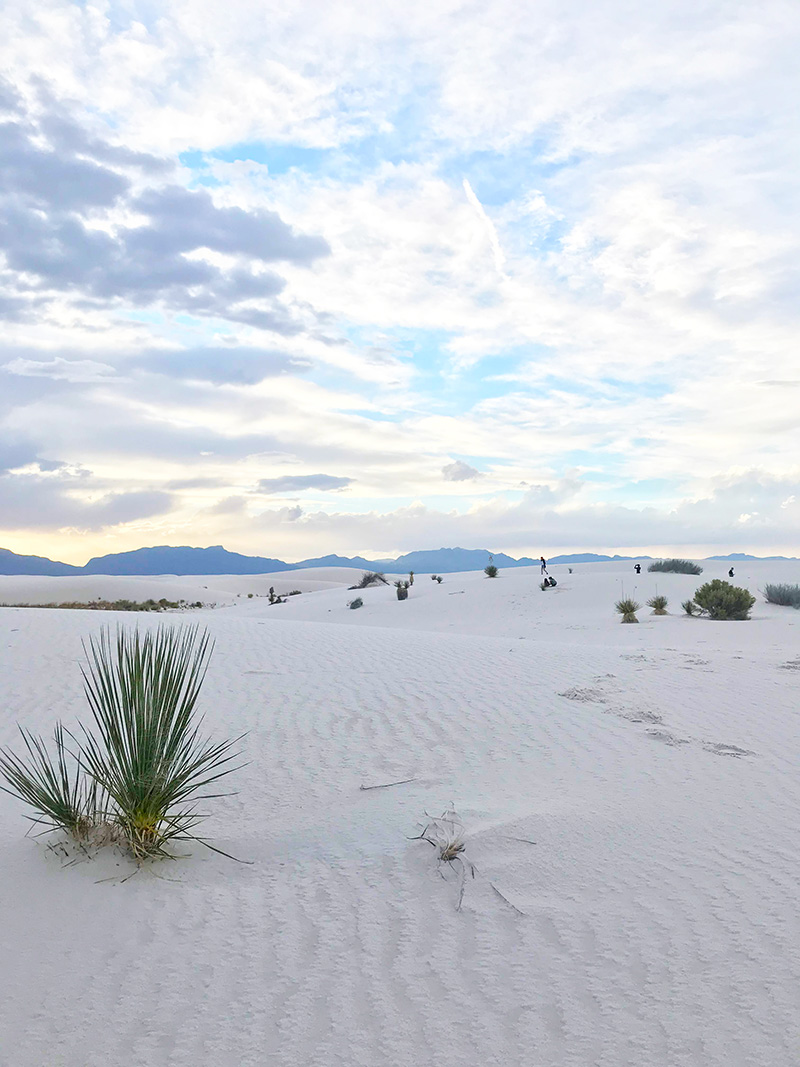 White Sand National Park New Mexico - The Sweet Escape